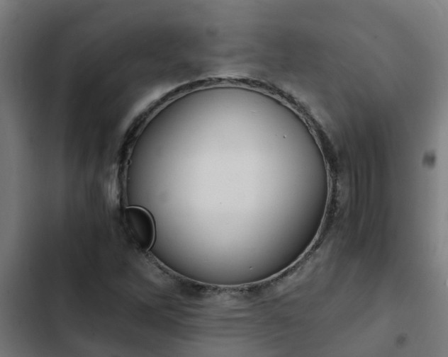 X0000103141262200808291330