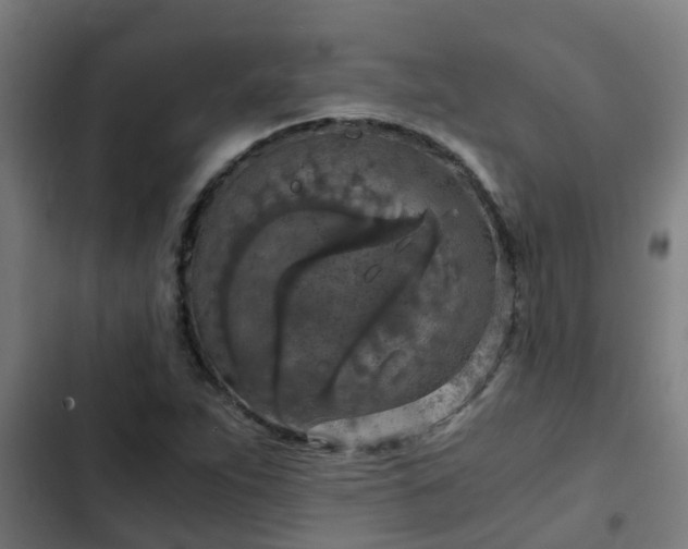 X0000103141263200808291330