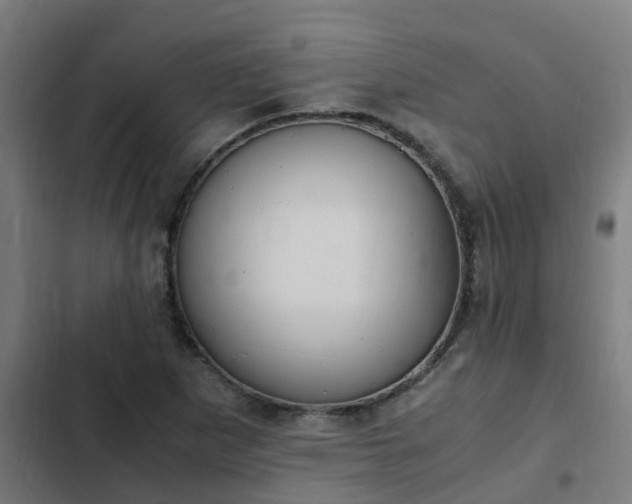 X0000103141265200808291330