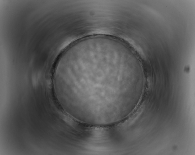 X0000103141266200808291330