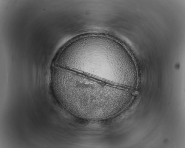 X0000103141267200808291330