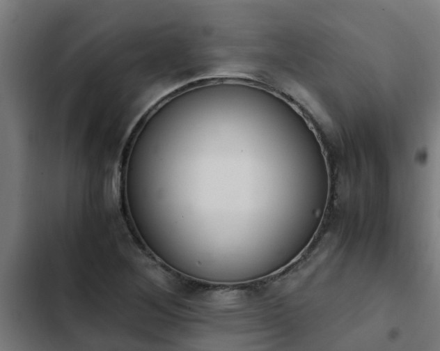 X0000103141268200808291330