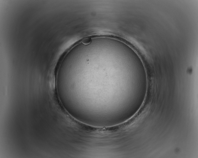 X0000103141269200808291330