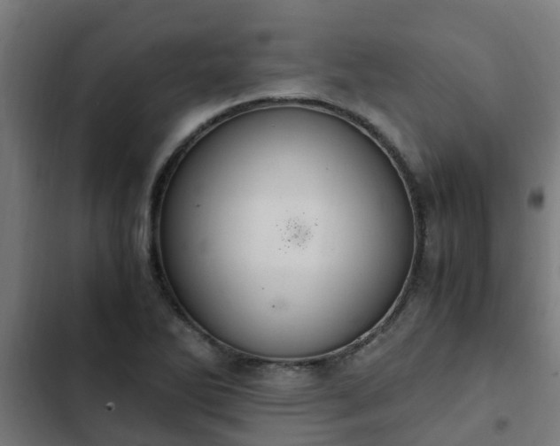 X0000103141270200808291330