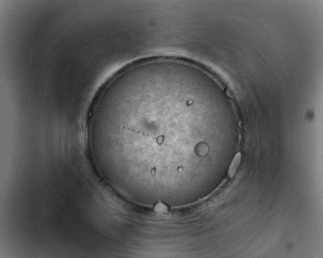 X0000103141271200808291330