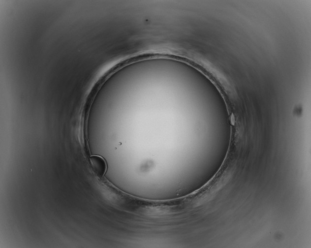 X0000103141272200808291330