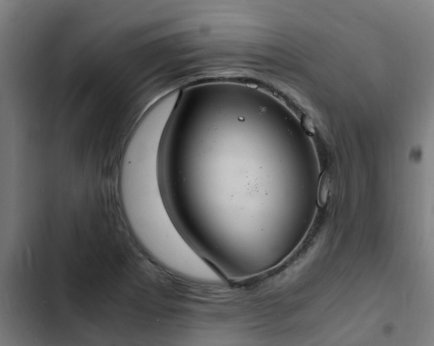 X0000103141273200808291330