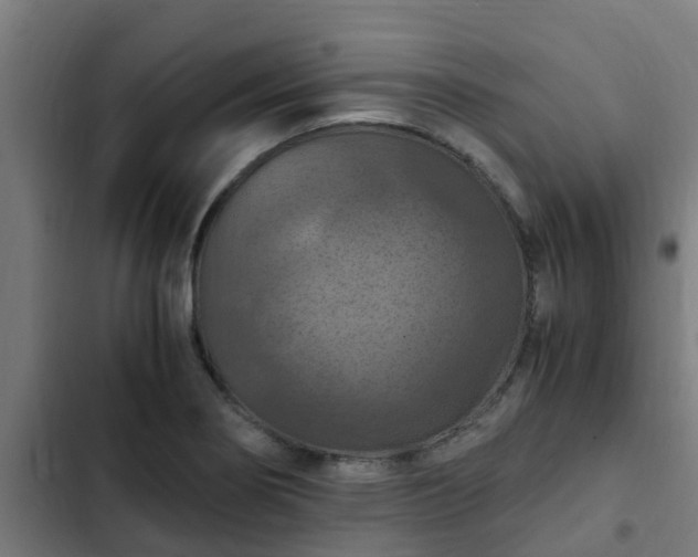 X0000103141274200808291330