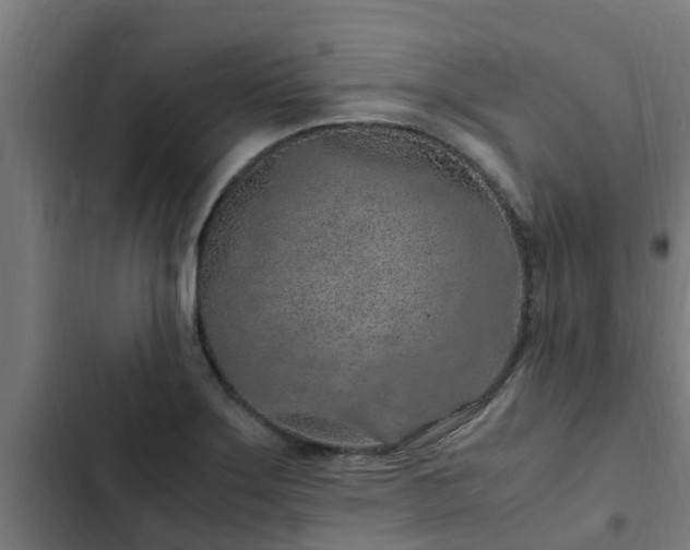 X0000103141275200808291330