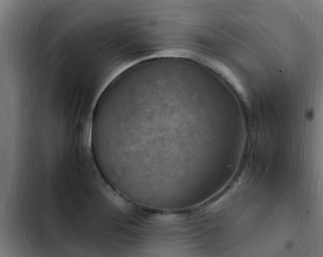 X0000103141276200808291330