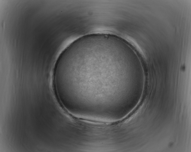 X0000103141277200808291330