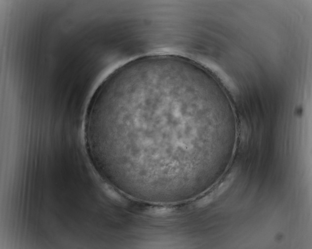 X0000103141278200808291330