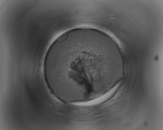 X0000103141279200808291330