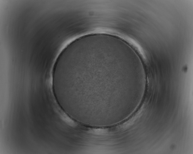 X0000103141280200808291330