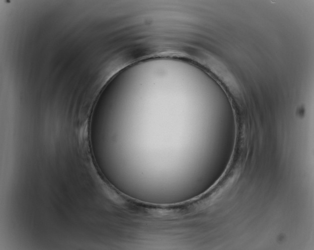 X0000103141281200808291330