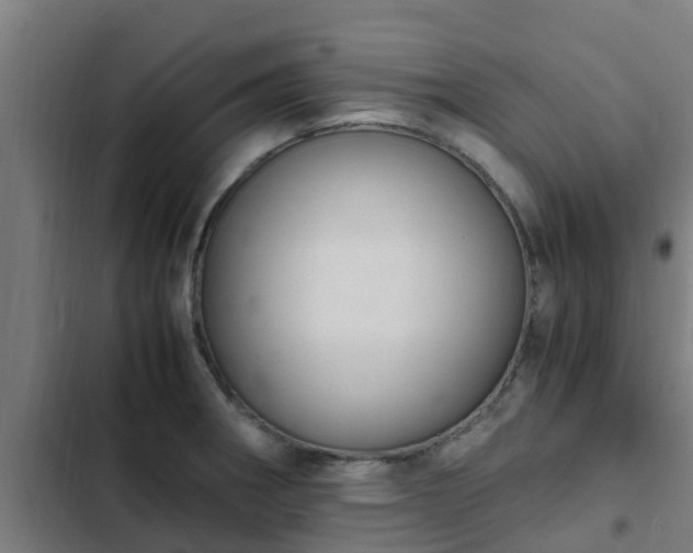 X0000103141282200808291330