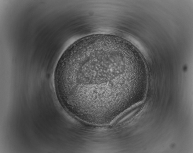 X0000103141283200808291330