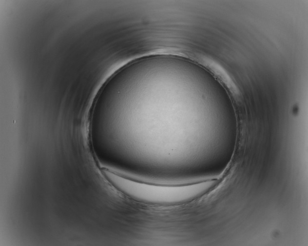 X0000103141284200808291330