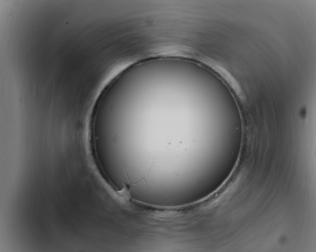 X0000103141285200808291330