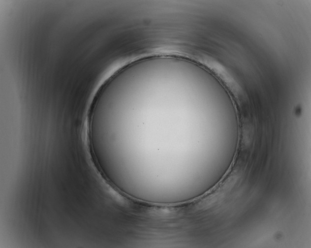 X0000103141286200808291330