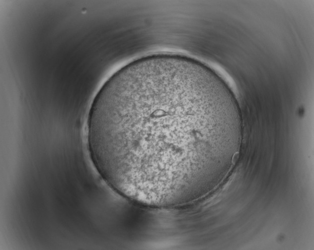 X0000103141287200808291330