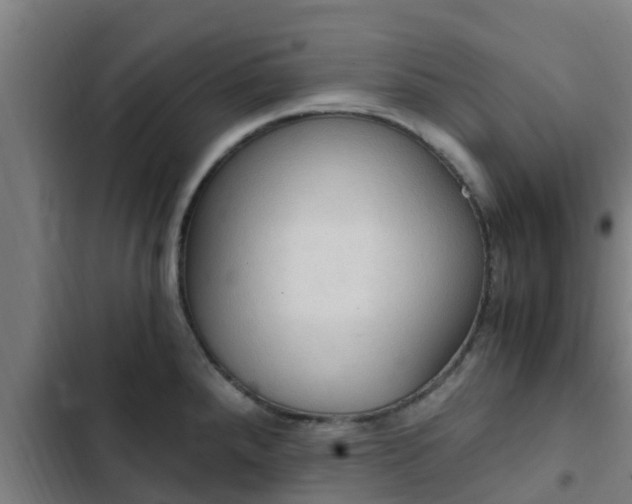 X0000103141288200808291330