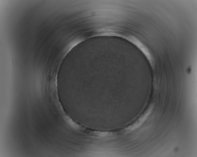 X0000103141289200808291330