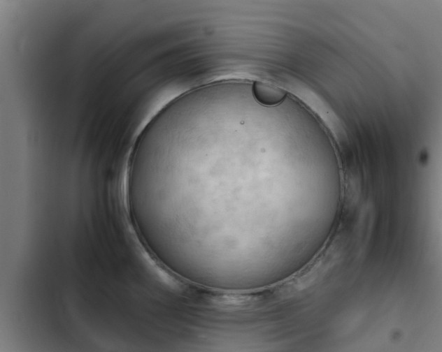 X0000103141290200808291330