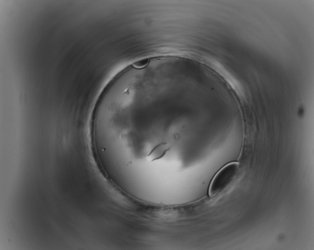 X0000103141291200808291330