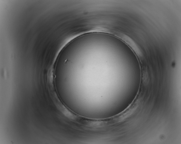 X0000103141292200808291330