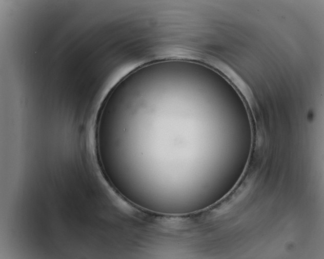 X0000103141293200808291330