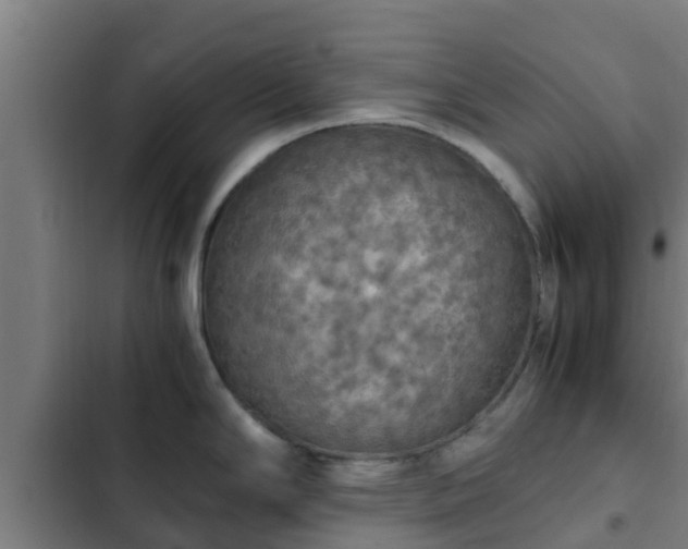 X0000103141294200808291330