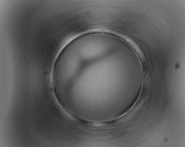 X0000103141295200808291330