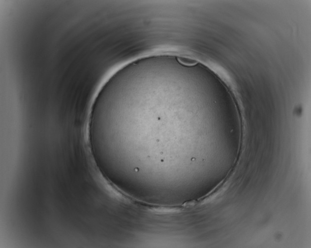 X0000103141296200808291330