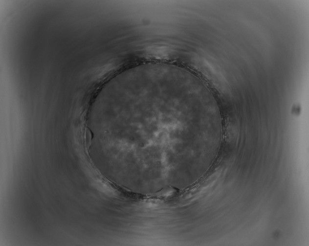 X0000103141297200808291329