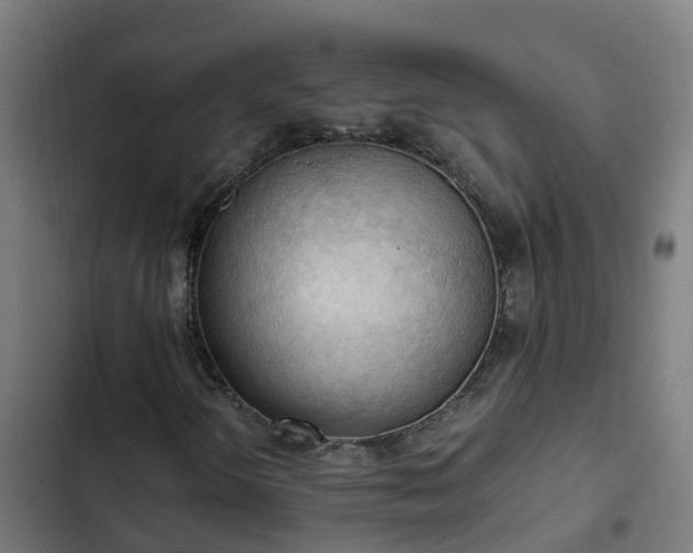 X0000103141298200808291329