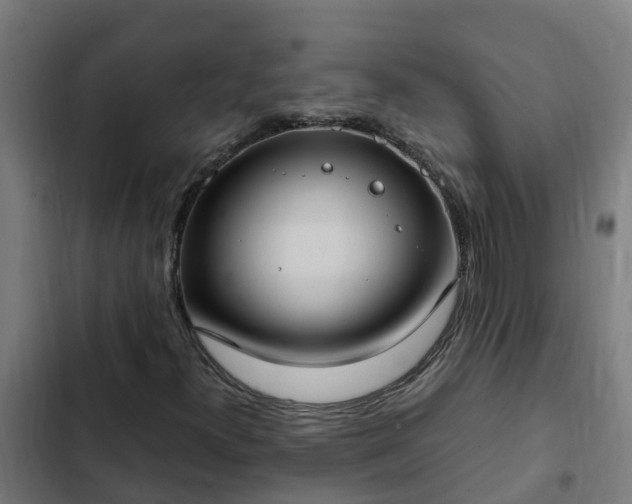 X0000103141300200808291329