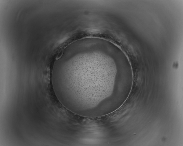 X0000103141301200808291329