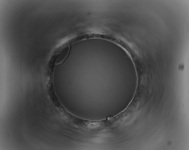 X0000103141303200808291329