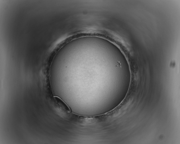 X0000103141304200808291329