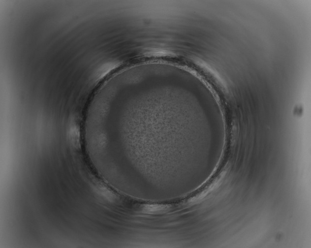 X0000103141305200808291329