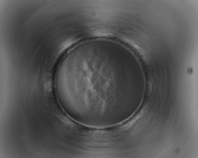 X0000103141306200808291329