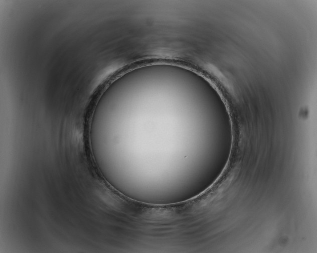 X0000103141307200808291329