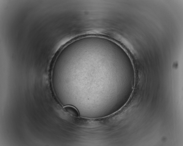 X0000103141308200808291329