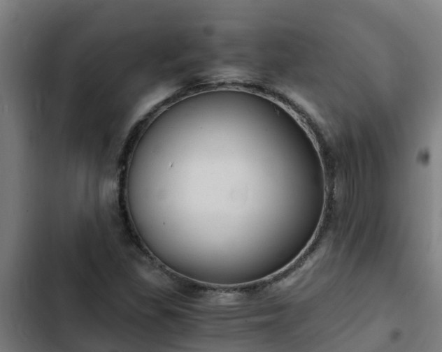 X0000103141309200808291329