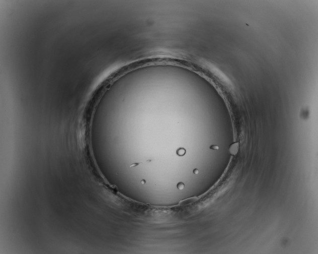 X0000103141310200808291329