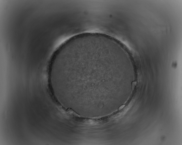 X0000103141311200808291329