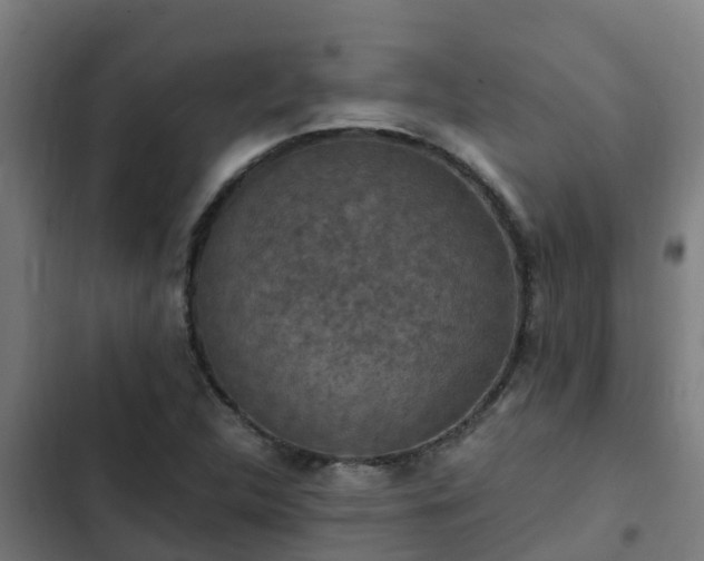 X0000103141312200808291329