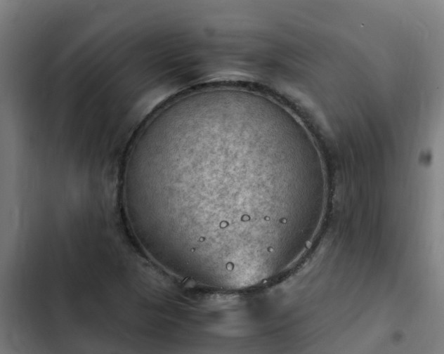 X0000103141313200808291329