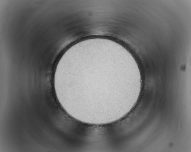 X0000103141314200808291329